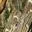 Satellitenansicht